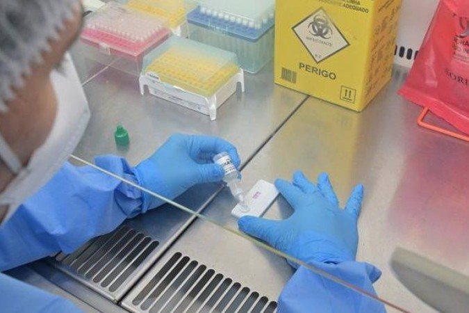 Hantavírus mata quase metade dos infectados no Brasil: veja onde há mais risco (e por que não tem relação com surto em navio de cruzeiro) - (crédito: Rudson Amorim/ IOC - Fiocruz) Hantavírus mata quase metade dos infectados no Brasil: veja onde há mais risco (e por que não tem relação com surto em navio de cruzeiro) - (crédito: Rudson Amorim/ IOC - Fiocruz)