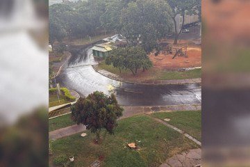Chuva no Sudoeste -  (crédito: Material cedido ao Correio)