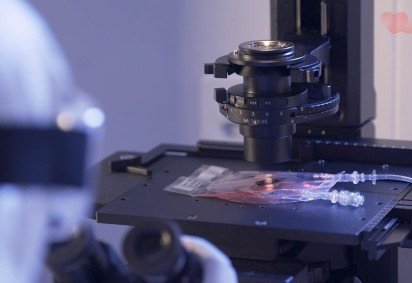Material sendo analisado: terapia reduz custos e tempo -  (crédito: Assessoria de imprensa do Hemocrentro RP) -Material sendo analisado: terapia reduz custos e tempo -  (crédito: Assessoria de imprensa do Hemocrentro RP)