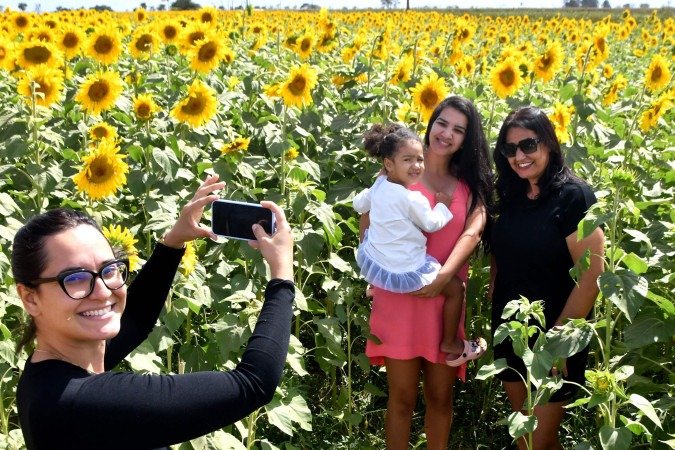 Todos os anos, Luciana Freire (E), visita a plantação para fazer fotos com a família
