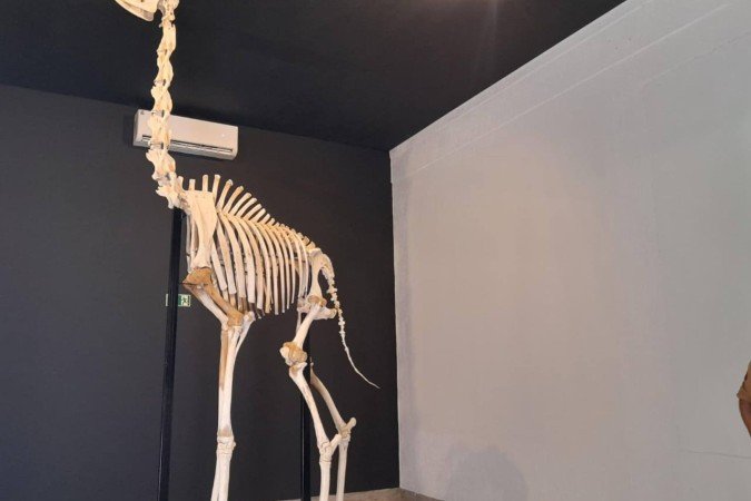 Zoológico de Brasília reinaugurou o Museu de Ciências Naturais
