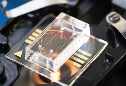 Imagem mostra a plataforma MechanoAge, utilizada para identificar pessoas com risco de c&acirc;ncer de mama -  (crédito:  Adam Lau/Berkeley Engineering) -Imagem mostra a plataforma MechanoAge, utilizada para identificar pessoas com risco de c&acirc;ncer de mama -  (crédito:  Adam Lau/Berkeley Engineering)