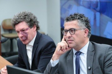Reginaldo Lopes (PT-MG), autor da PEC e Alencar Santana (PT-SP), presidente da comissão especial, participaram de audiência pública, ontem  -  (crédito: Bruno Spada)