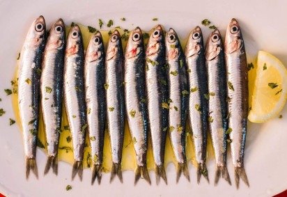 O principal nutriente das sardinhas são os ácidos graxos ômega-3, fundamentais para o funcionamento do cérebro e do coração -  (crédito: Getty Images) -O principal nutriente das sardinhas são os ácidos graxos ômega-3, fundamentais para o funcionamento do cérebro e do coração -  (crédito: Getty Images)