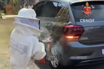 Enxame migratório de abelhas surpreende motorista no Recanto das Emas. -  (crédito: CBMDF/Divulgação)
