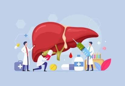 O fígado tem papel essencial no funcionamento do organismo, transformando nutrientes em energia e eliminando toxinas  (Imagem: freshcare | Shutterstock)  -  (crédito: EdiCase) -O fígado tem papel essencial no funcionamento do organismo, transformando nutrientes em energia e eliminando toxinas  (Imagem: freshcare | Shutterstock)  -  (crédito: EdiCase)