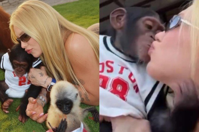 Caso Virginia: doenças que humanos podem transmitir ao beijar macacos na boca - (crédito: Reprodução/Instagram) Caso Virginia: doenças que humanos podem transmitir ao beijar macacos na boca - (crédito: Reprodução/Instagram)