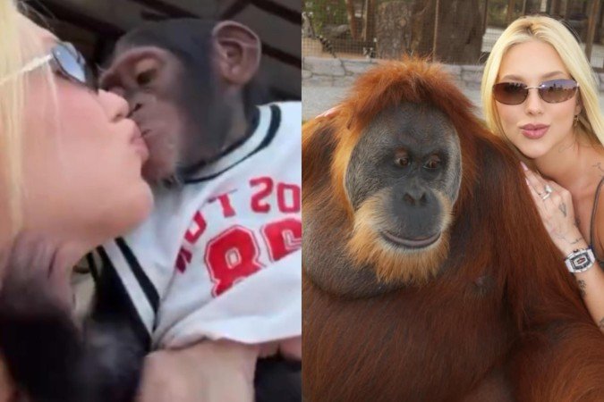Caso Virginia: doenças que podem ser contraídas ao beijar macacos na boca - (crédito: Reprodução/Instagram) Caso Virginia: doenças que podem ser contraídas ao beijar macacos na boca - (crédito: Reprodução/Instagram)