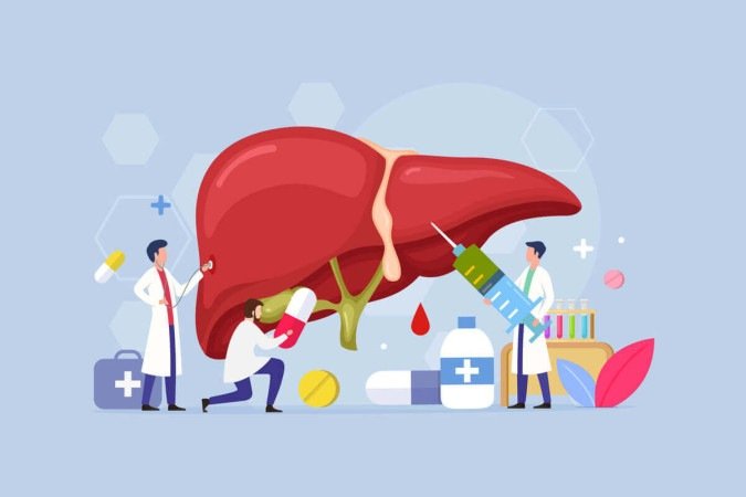 O fígado tem papel essencial no funcionamento do organismo, transformando nutrientes em energia e eliminando toxinas (Imagem: freshcare | Shutterstock) - (crédito: EdiCase) O fígado tem papel essencial no funcionamento do organismo, transformando nutrientes em energia e eliminando toxinas (Imagem: freshcare | Shutterstock) - (crédito: EdiCase)