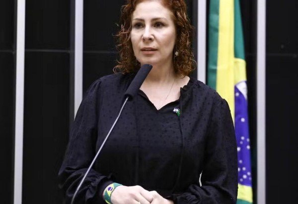 Vinicius Loures/Camara dos Deputados