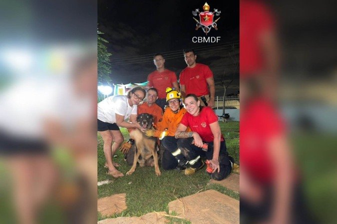 Cadela foi resgatada sem nenhum tipo de ferimento - (crédito: Divulgação/ CBMDF) Cadela foi resgatada sem nenhum tipo de ferimento - (crédito: Divulgação/ CBMDF)