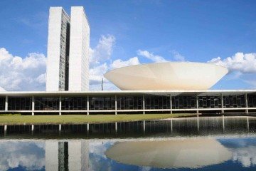Câmara dos Deputados deve contemplar outras áreas, como jornalista, museólogo, engenheiro e médico -  (crédito: Reprodução/ Câmara dos Deputados)