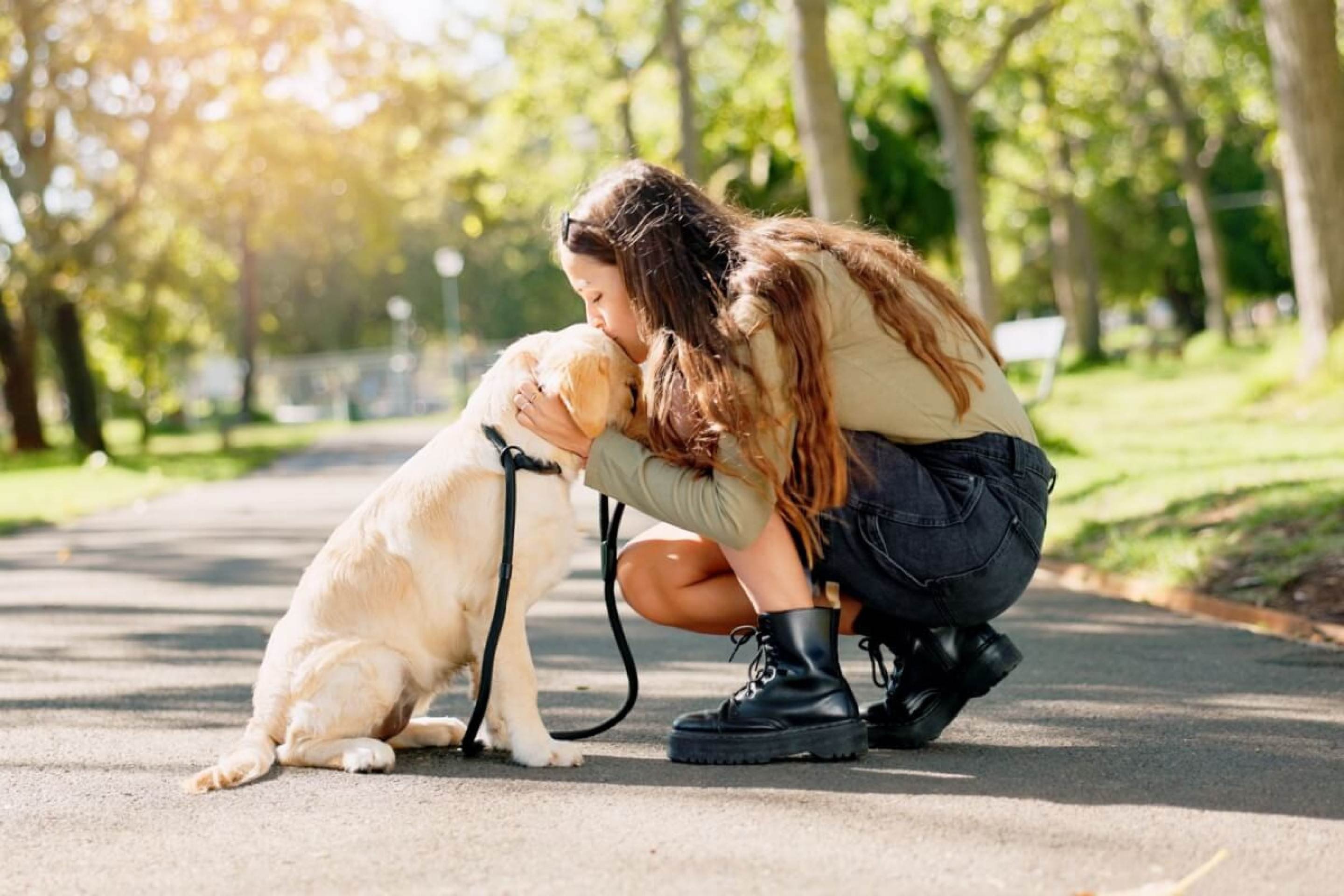 Cachorro não quer passear: veja as causas e o que fazer 