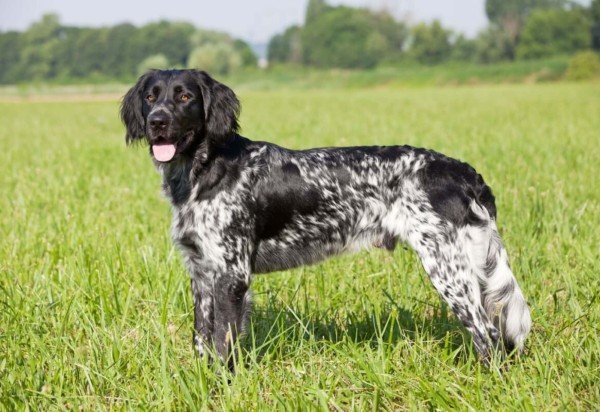 EdiCase