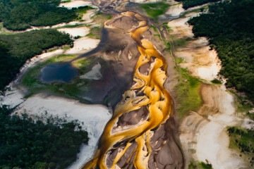 A seca extrema confere tons dourados ao igarapé Tumbira, no Rio Negro (AM) -  (crédito:  Araquem Alcantara)