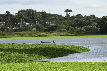 Segundo a Caesb, presença de plantas aquáticas é natural, sem relação com o tratamento de água -  (crédito:  Carlos Vieira CB/DA Press)