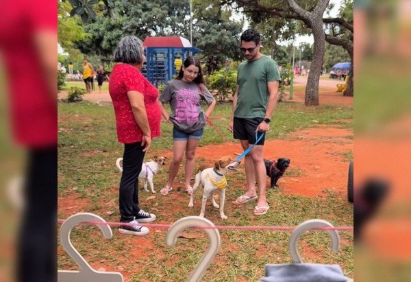 Divulgação