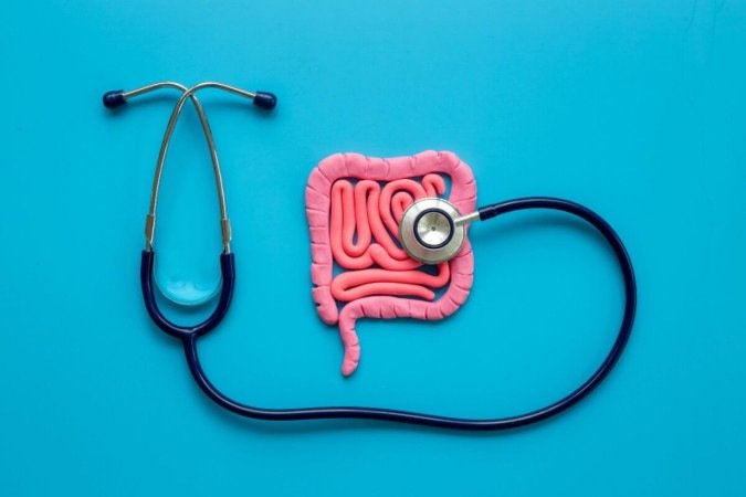 O intestino exerce papel fundamental na imunidade, na absorção de nutrientes e na qualidade de vida. (Imagem: 9dream studio | Shutterstock) - (crédito: EdiCase) O intestino exerce papel fundamental na imunidade, na absorção de nutrientes e na qualidade de vida. (Imagem: 9dream studio | Shutterstock) - (crédito: EdiCase)