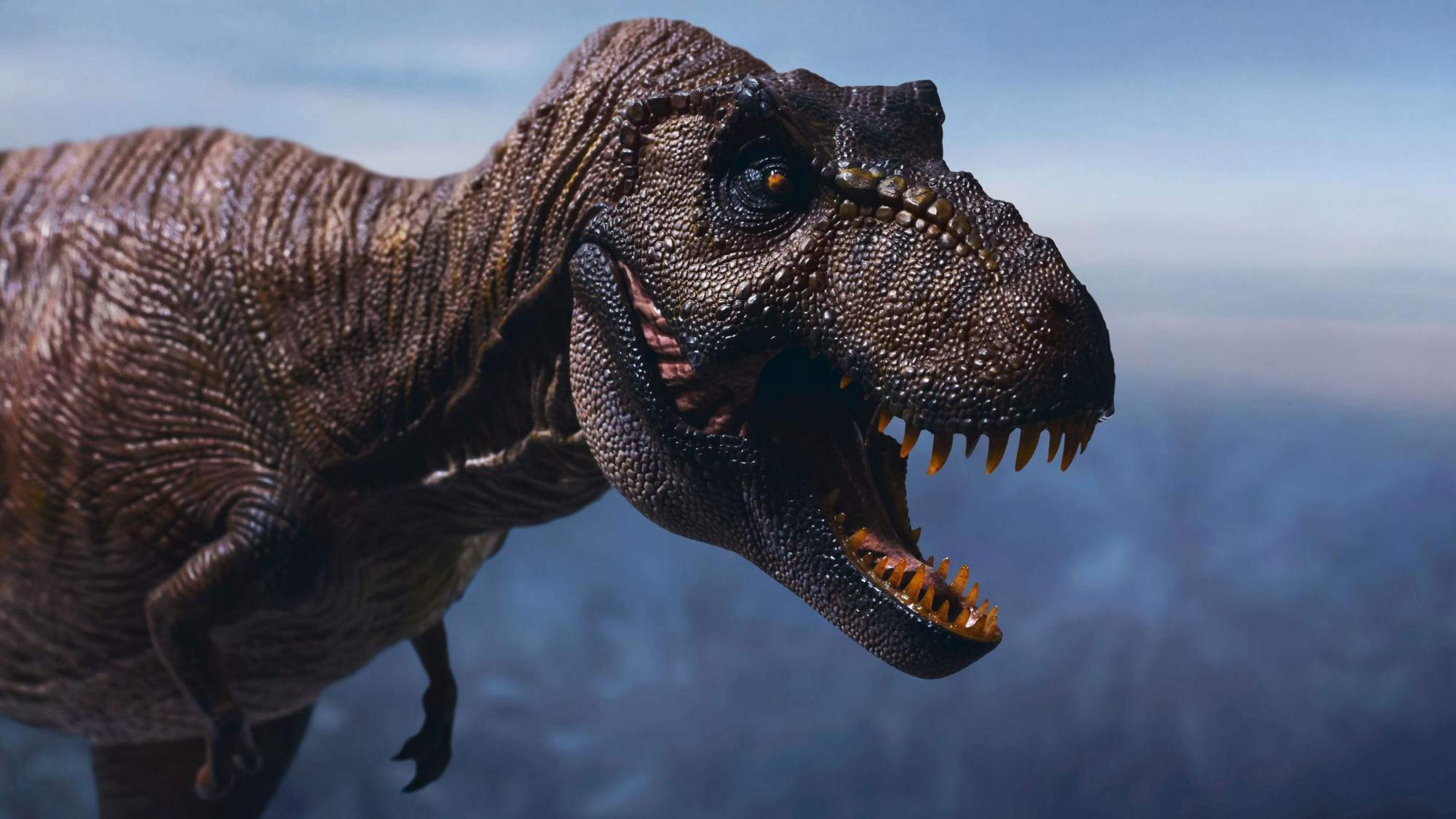 Por que o T. rex tinha braços 