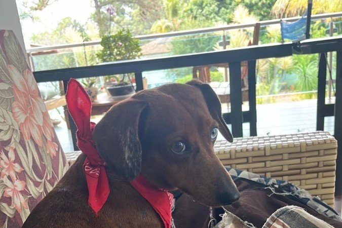 Ivan sempre sonhou em ter um cachorro: aos 11 anos ganhou o Dejota dos pais 