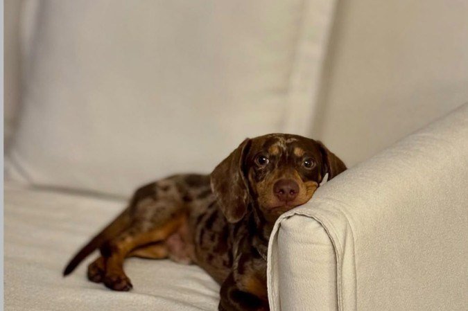 Com a rotina planejada, Frederico é tranquilo em casa 