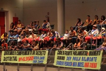 Quadrilheiros ocupam plen&aacute;rio da CLDF em protesto por falta de recursos -  (crédito:  Davi Pereira/CB/D.A Press.)