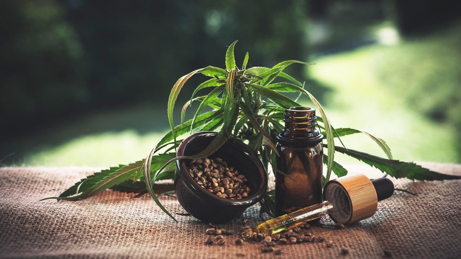 A importa&ccedil;&atilde;o de produtos &agrave; base de cannabis medicinal atingiu um novo recorde no Brasil, impulsionando o setor -  (crédito: Divulga&ccedil;&atilde;o)