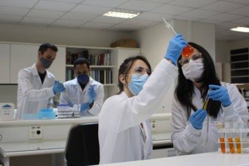 Nanotecnologia brasileira permite tratar doenças de pele com precisão
     -  (crédito: NanoGeneSkin/Divulgação)