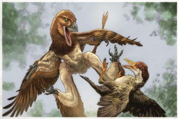 O novo microraptor Jian changmaensis (à esquerda) ataca a ave primitiva Gansus yumenensis (à direita) no que hoje é a Bacia de Changma, no noroeste da China, há aproximadamente 120 milhões de anos -  (crédito: Ilustração de Lewis LaRosa, colorização de Jão Canola.)