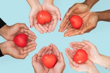 Doação de órgãos salva vidas no Brasil  -  (crédito: Freepik )