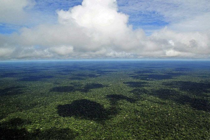 No governo Lula, cerca de 1,3 milhão de hectares da Floresta Amazônica passaram a ser chamados de Flona do Jamanxim. Com a separação, essa região passaria a ter uma extensão de apenas 815 mil hectares - (crédito: Neil Palmer/CIAT - Flickr wikimedia commons ) No governo Lula, cerca de 1,3 milhão de hectares da Floresta Amazônica passaram a ser chamados de Flona do Jamanxim. Com a separação, essa região passaria a ter uma extensão de apenas 815 mil hectares - (crédito: Neil Palmer/CIAT - Flickr wikimedia commons )