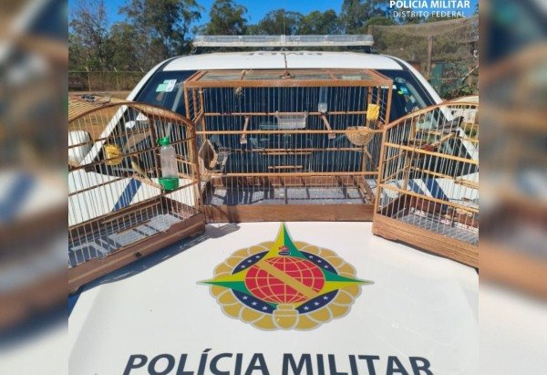 Reprodução/PMDF