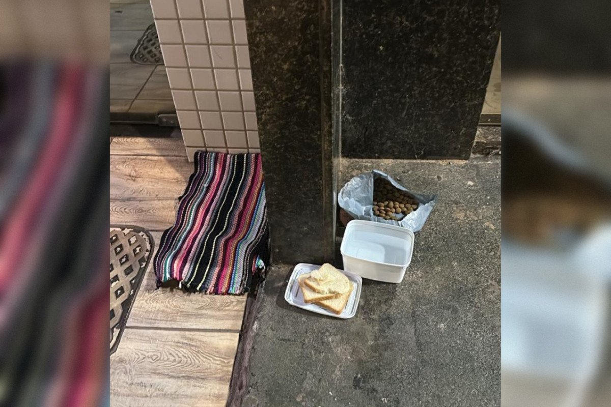 Vizinhos est&atilde;o cuidado do cachorro enquanto ele n&atilde;o tem um destino certo