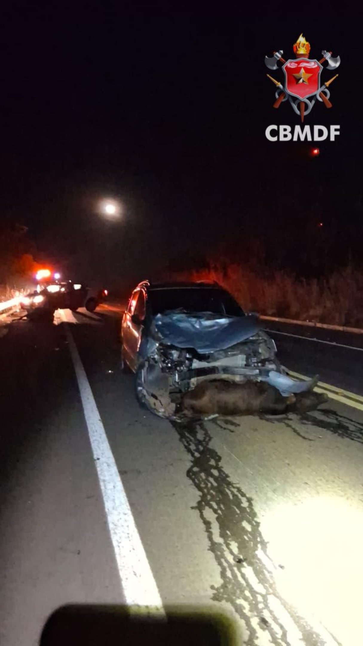 Colis&atilde;o entre ve&iacute;culo e duas vagas deixou animais mortos e motorista ferido