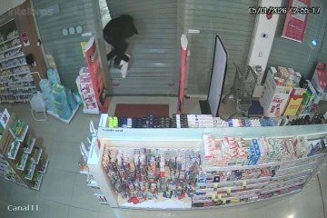 Após arrombar os estabelecimentos, furtavam produtos de alto valor e deixavam o local em poucos minutos -  (crédito: Divulgação/PCDF)