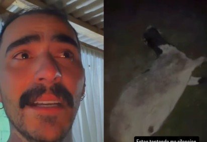 Influencer que viu suposto OVNI encontra animal morto: 'Sou o próximo' -  (crédito: Instagram) -Influencer que viu suposto OVNI encontra animal morto: 'Sou o próximo' -  (crédito: Instagram)