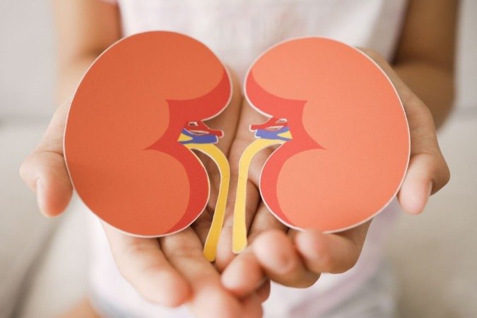 Embora relativamente comum, a infecção nos rins pode se tornar grave quando negligenciada (Imagem: SewCreamStudio | Shutterstock) - (crédito: EdiCase) Embora relativamente comum, a infecção nos rins pode se tornar grave quando negligenciada (Imagem: SewCreamStudio | Shutterstock) - (crédito: EdiCase)