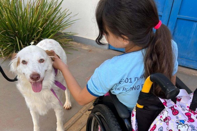 Aluna em interação com o cão Milo na Vila Planalto - (crédito: Material cedido ao Correio) Aluna em interação com o cão Milo na Vila Planalto - (crédito: Material cedido ao Correio)