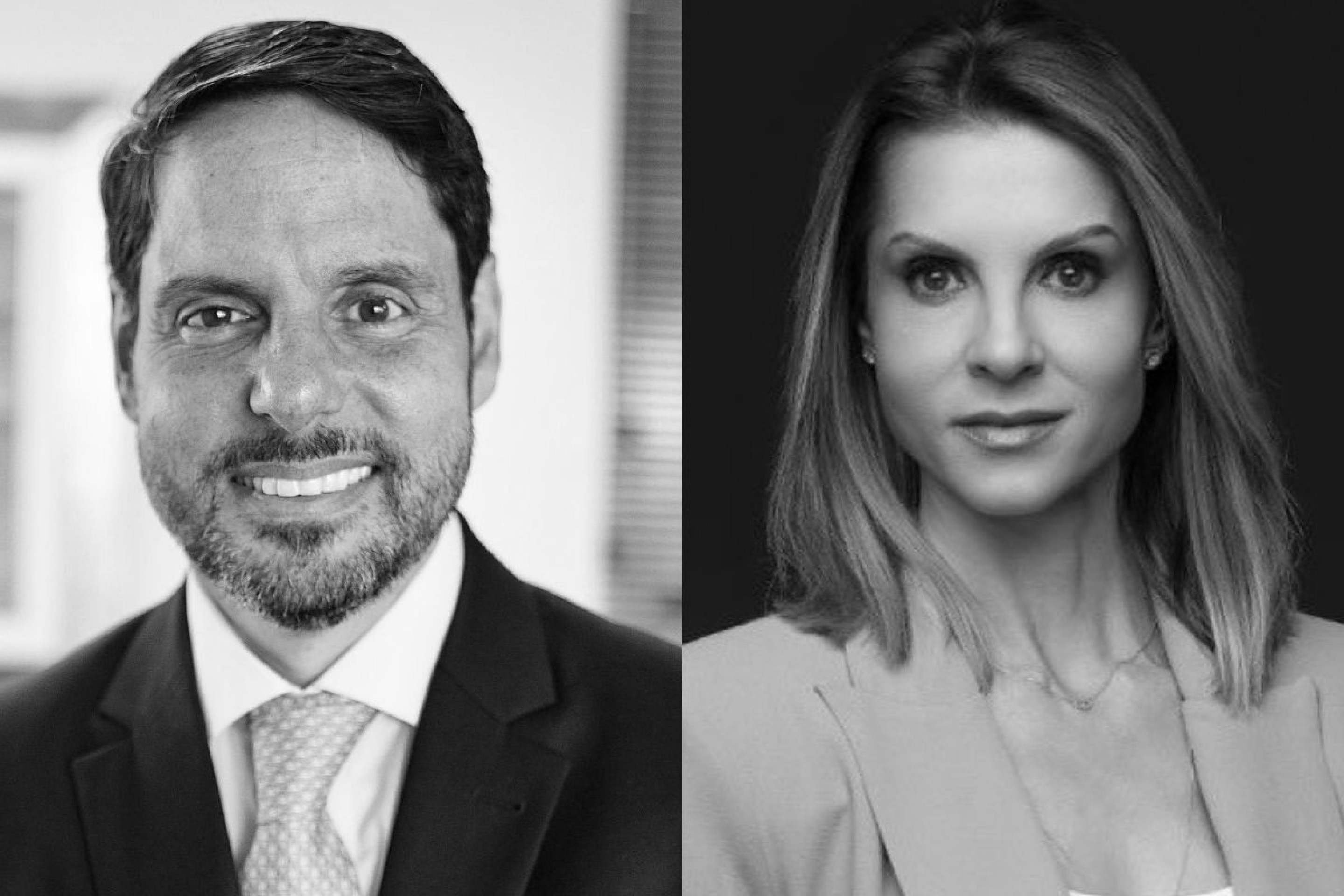 Os limites da mediação na jurisdição constitucional