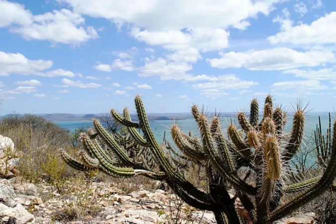 Entre os princípios que orientam a política estão a sustentabilidade ambiental, a conservação da biodiversidade e a participação e o engajamento social - (crédito: Gabriel Carvalho/Setur-BA) Entre os princípios que orientam a política estão a sustentabilidade ambiental, a conservação da biodiversidade e a participação e o engajamento social - (crédito: Gabriel Carvalho/Setur-BA)