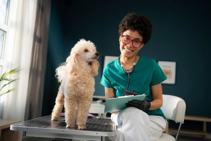 Um histórico veterinário organizado pode ajudar na prevenção de doenças, no diagnóstico precoce e na tomada de decisões mais seguras em situações de urgência (Imagem: Videophilia | Shutterstock)
- (crédito: EdiCase) Um histórico veterinário organizado pode ajudar na prevenção de doenças, no diagnóstico precoce e na tomada de decisões mais seguras em situações de urgência (Imagem: Videophilia | Shutterstock)
- (crédito: EdiCase)