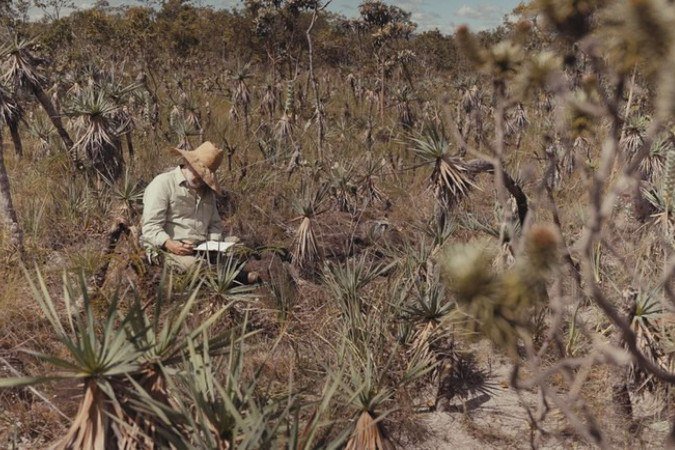Os raizeiros são responsáveis pela preparação de remédios naturais e detêm saberes tradicionais sobre o Cerrado - (crédito: Gov/Divulgação) Os raizeiros são responsáveis pela preparação de remédios naturais e detêm saberes tradicionais sobre o Cerrado - (crédito: Gov/Divulgação)