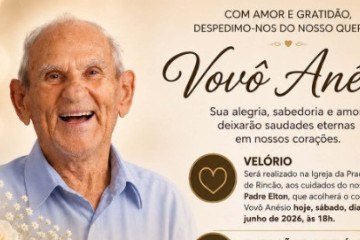 'Vovô Anésio' estava internado desde sexta-feira (13/6) -  (crédito: Reprodução/Instagram)