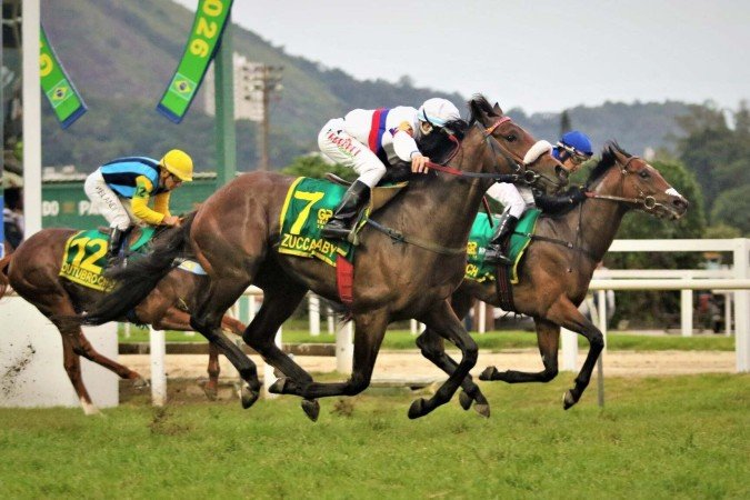 Zucca Baby (número 7) em ação durante a corrida que o consagrou campeão do Grande Prêmio Brasil no Hipódromo da Gávea - (crédito: Sylvio Rondinelli/JCB) Zucca Baby (número 7) em ação durante a corrida que o consagrou campeão do Grande Prêmio Brasil no Hipódromo da Gávea - (crédito: Sylvio Rondinelli/JCB)