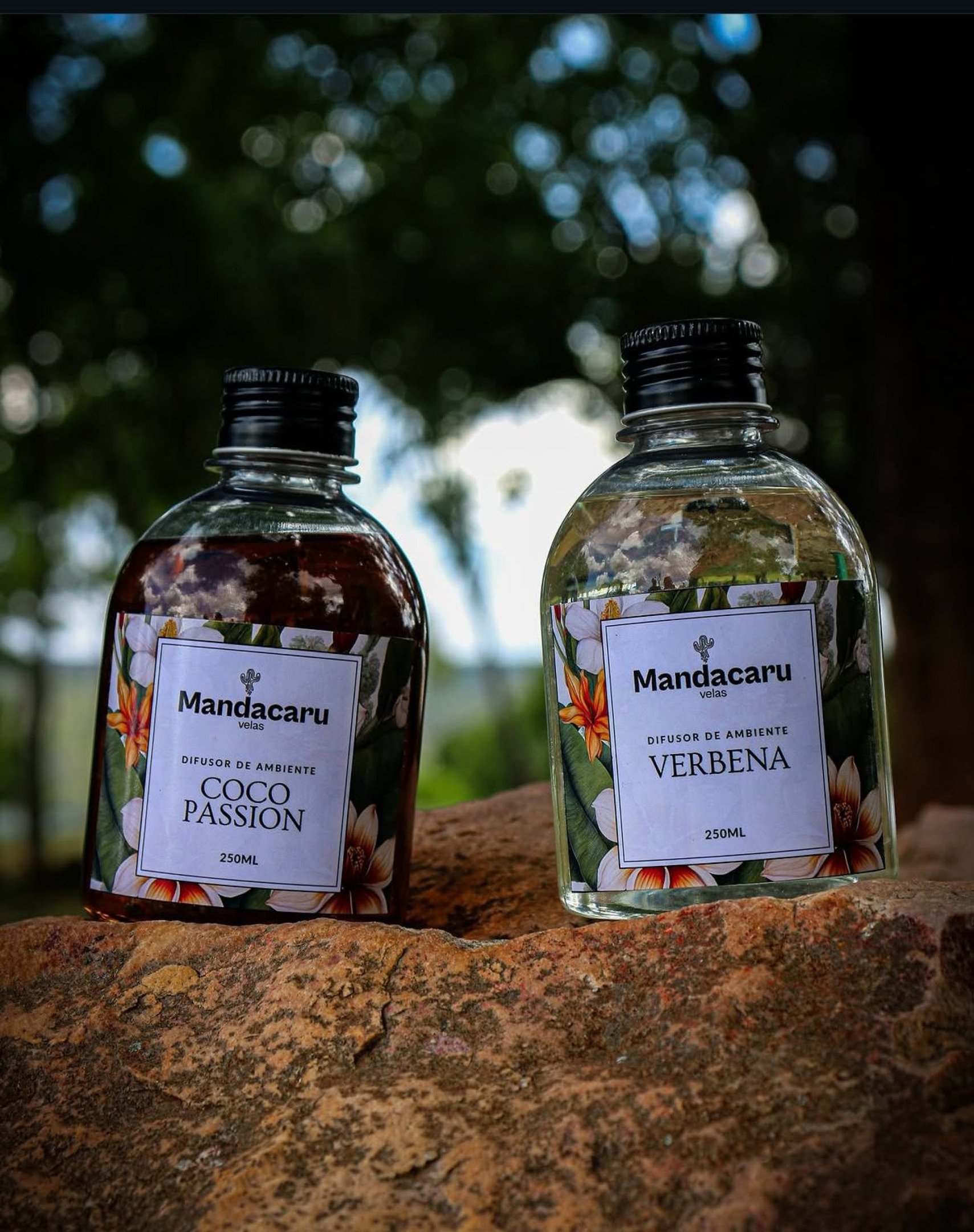 Os difusores de ambiente oferecem perfuma&ccedil;&atilde;o cont&iacute;nua e s&atilde;o uma das op&ccedil;&otilde;es mais pr&aacute;ticas para manter a casa aromatizada ao longo do dia