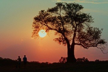 'Estrelas terrestres', curta vencedor do Prêmio Itaú Cultural Play no Paraná
- (crédito: Divulgação ) 'Estrelas terrestres', curta vencedor do Prêmio Itaú Cultural Play no Paraná
- (crédito: Divulgação )