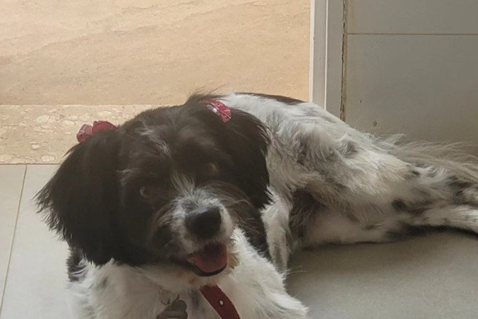 Wendy é colocada para dentro de 
casa assim que começa a esfriar