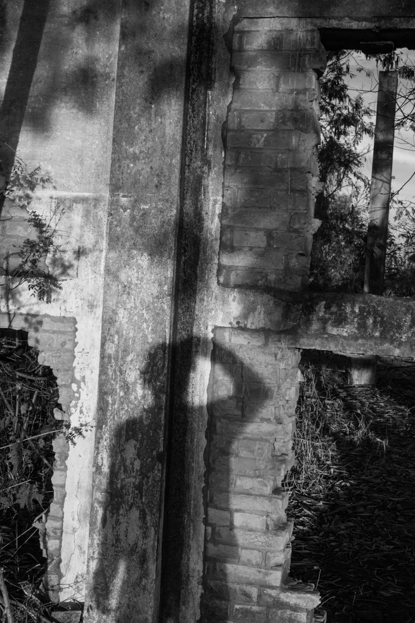  fot&oacute;grafo Hugo Mader,  extra&iacute;das do livro A quebra da paisagem.