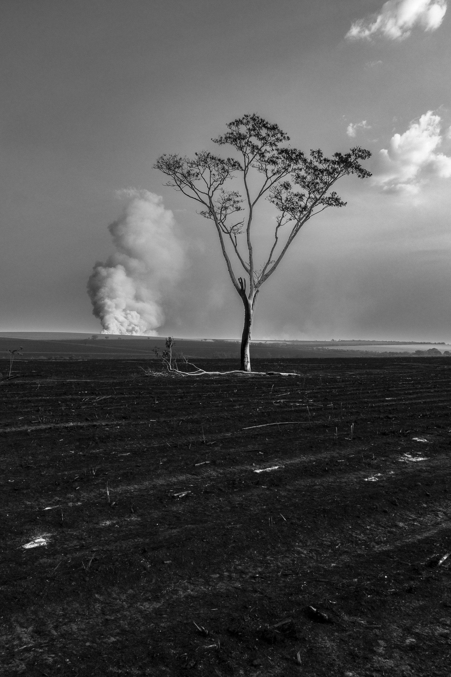  fot&oacute;grafo Hugo Mader,  extra&iacute;das do livro A quebra da paisagem.