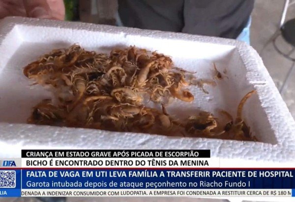 TV Brasília